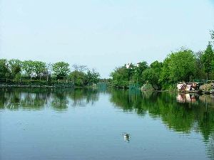 The Xixi National Wetland Park