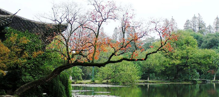 The natural beauty of Hangzhou 